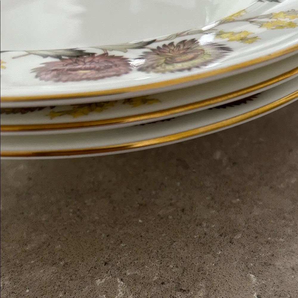 Soup plates - Picture 2 of 3